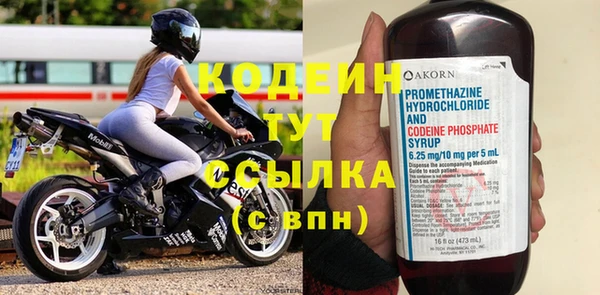 эйфоретик Богданович