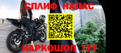 крисы Аргун